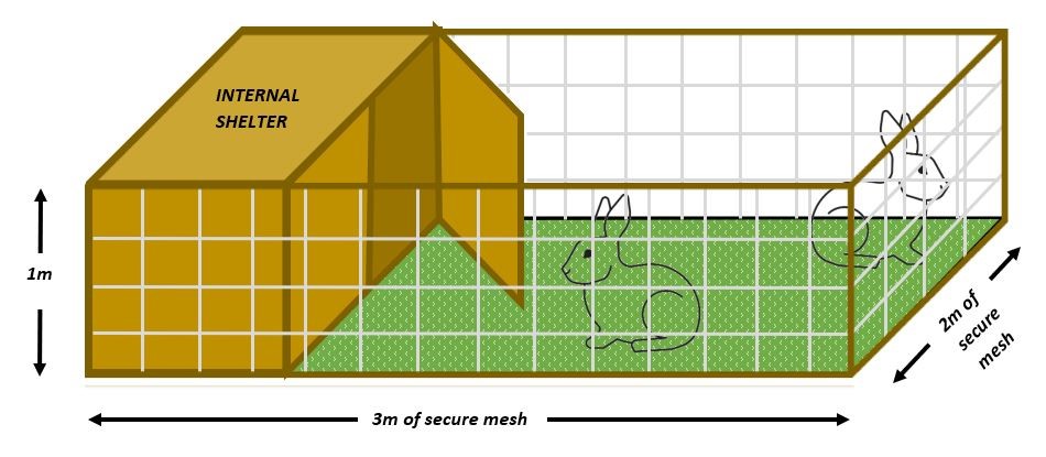 Rabbit space requirements