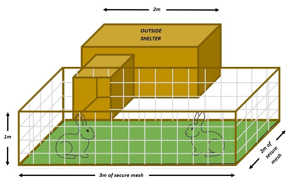 Rabbit space requirements