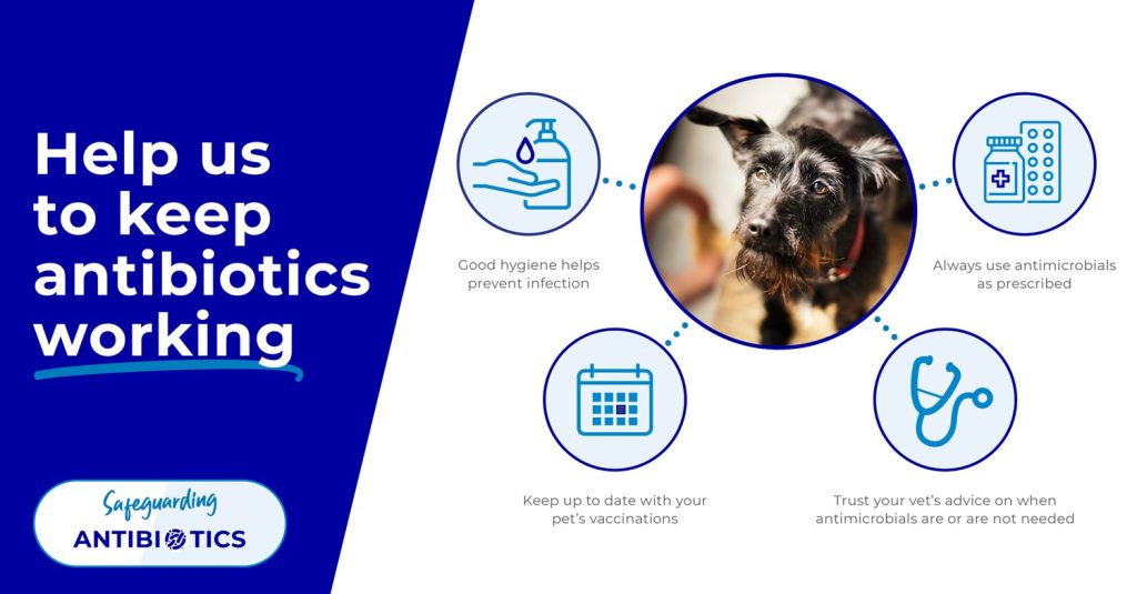 Pet antibiotic resistance