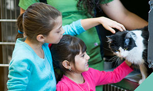 adopt-a pet