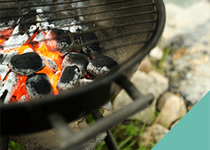 bbqs-pets
