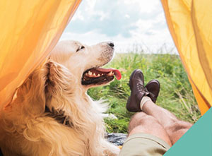 dog-camping