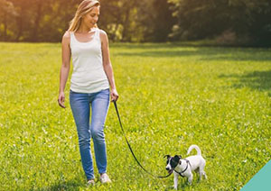 dog-lead-training