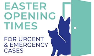 easter2020-opening-times