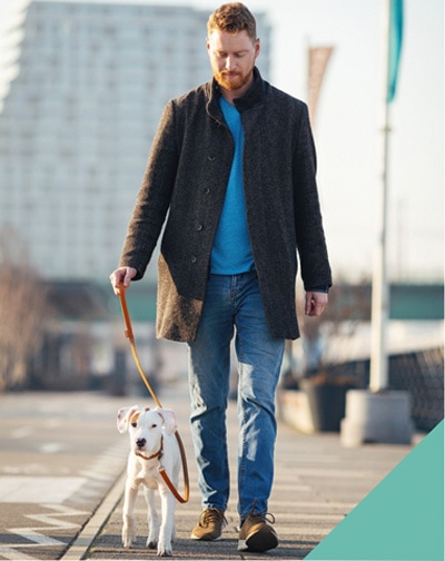 walking with a dog