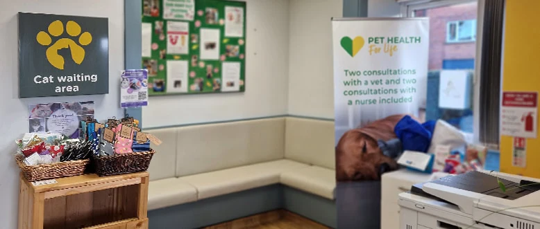 Pet Euthanasia | Saying Goodbye | Leadon Vale Veterinary Centre 