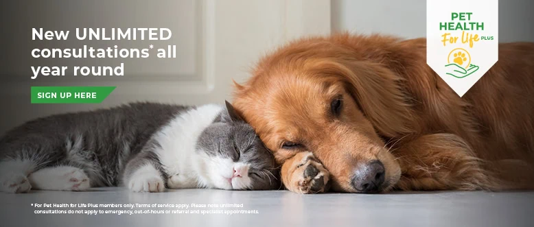 Pet Health For Life Plan | Leadon Vale Veterinary Centre 