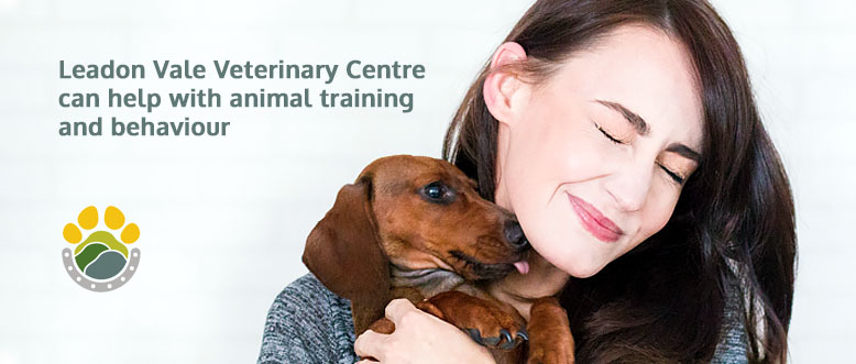 Services for Pets in Ledbury