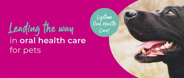 Ledbury Vets | Vets Near Me | Leadon Vale Veterinary Centre