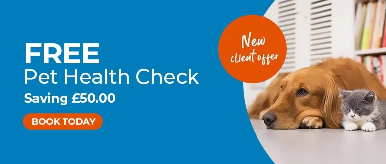 Ledbury Vets | Vets Near Me | Leadon Vale Veterinary Centre