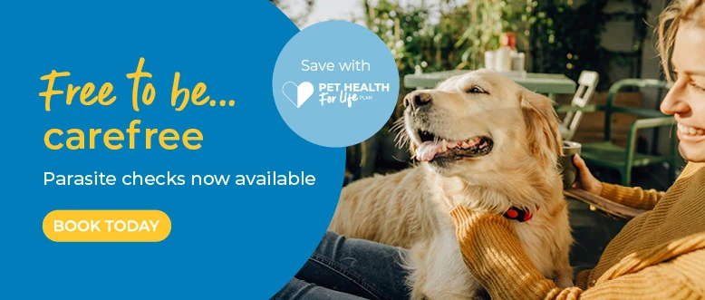 Ledbury Vets | Vets Near Me | Leadon Vale Veterinary Centre