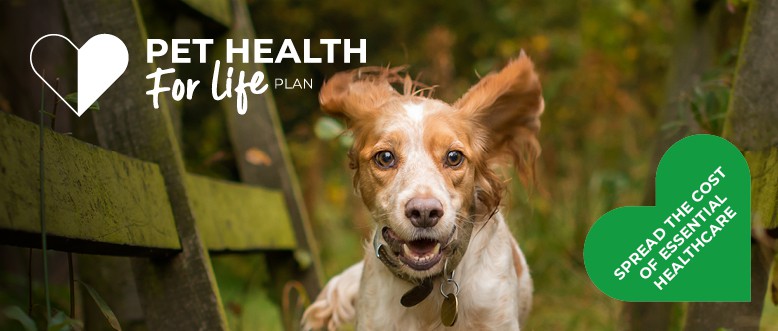 Dog Pet Health for Life Plan