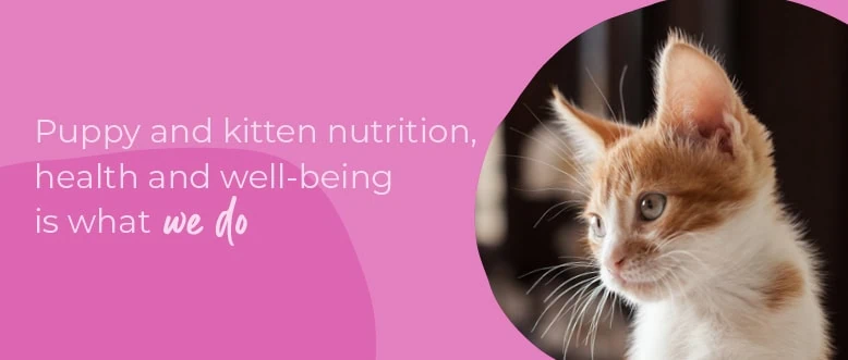 Start of Life for Your Puppy or Kitten