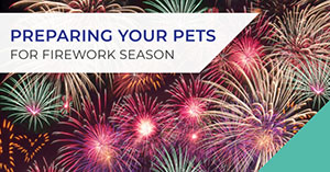 bonfire-night-pets