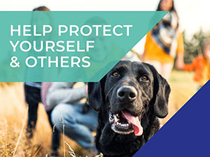 18thmarch-covid-update