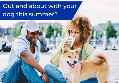 travelling in the uk