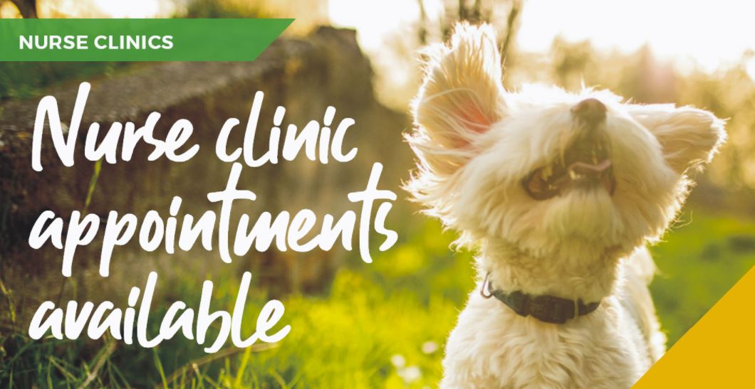 Leadon Vale nurse clinics banner