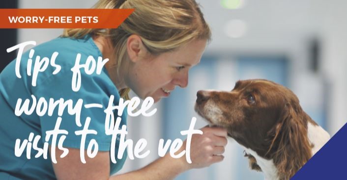 Tips for worry-free visits to the vet banner