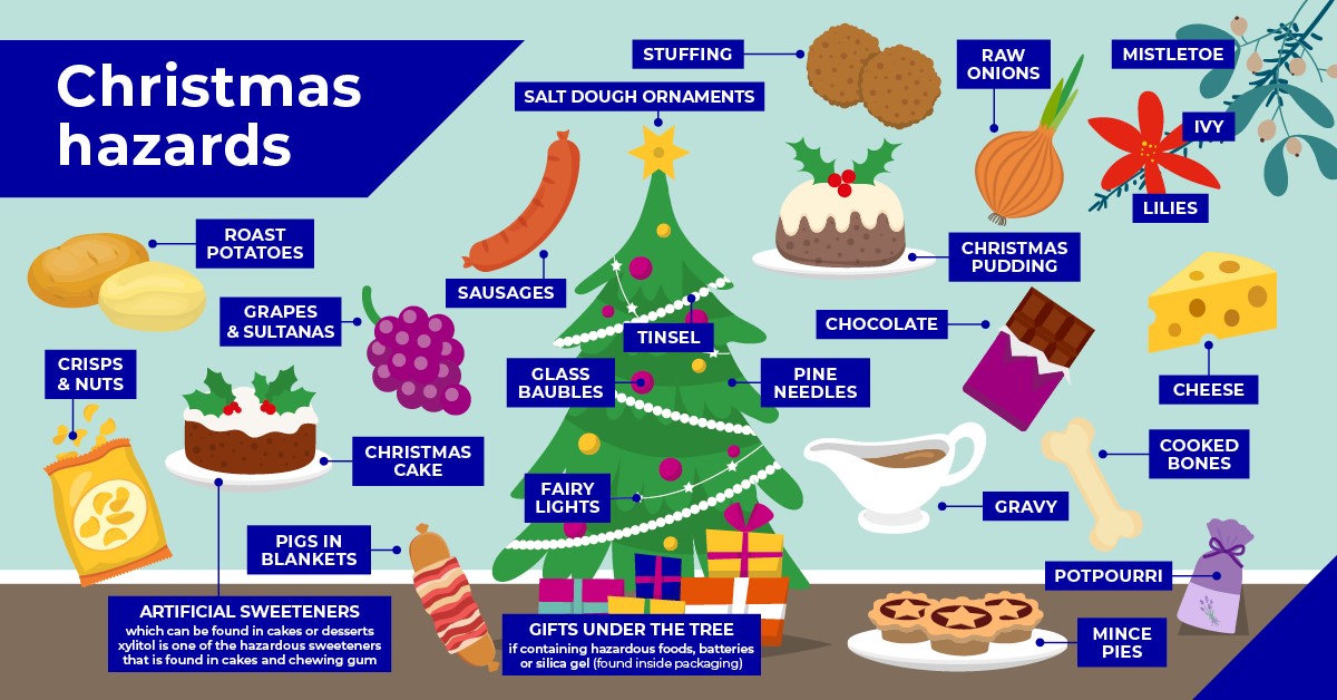1a christmas hazards poster
