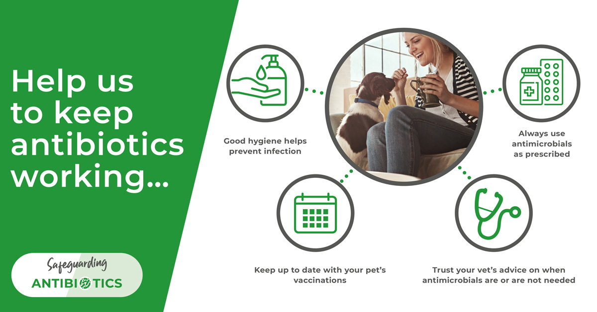 Antibiotic resistance poster