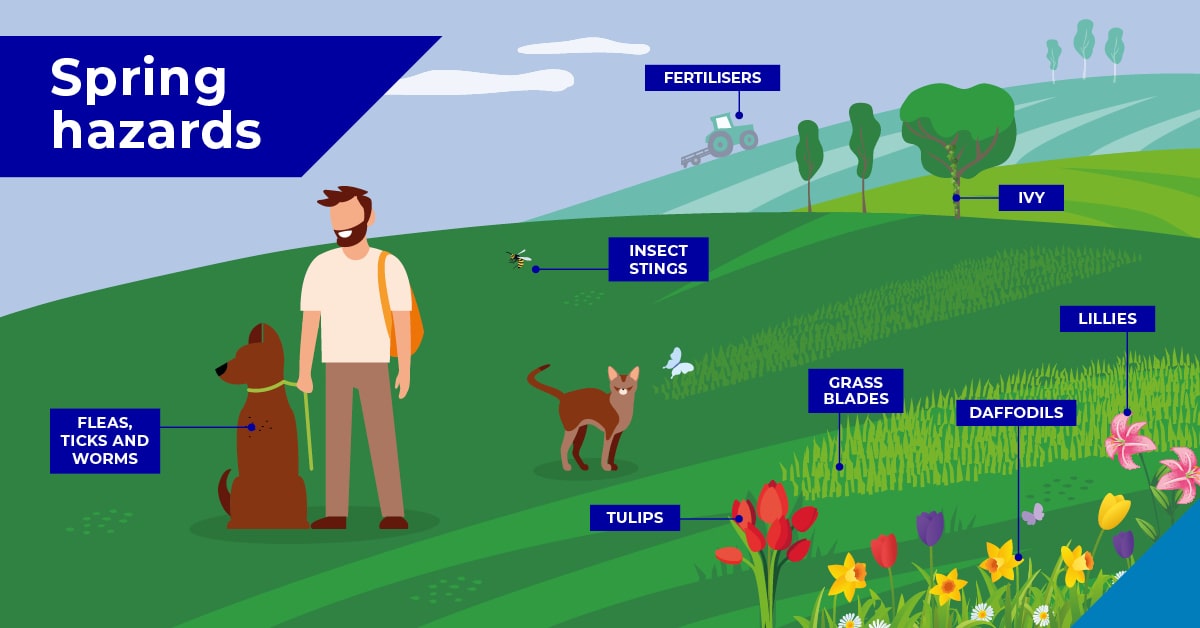 Spring hazards poster