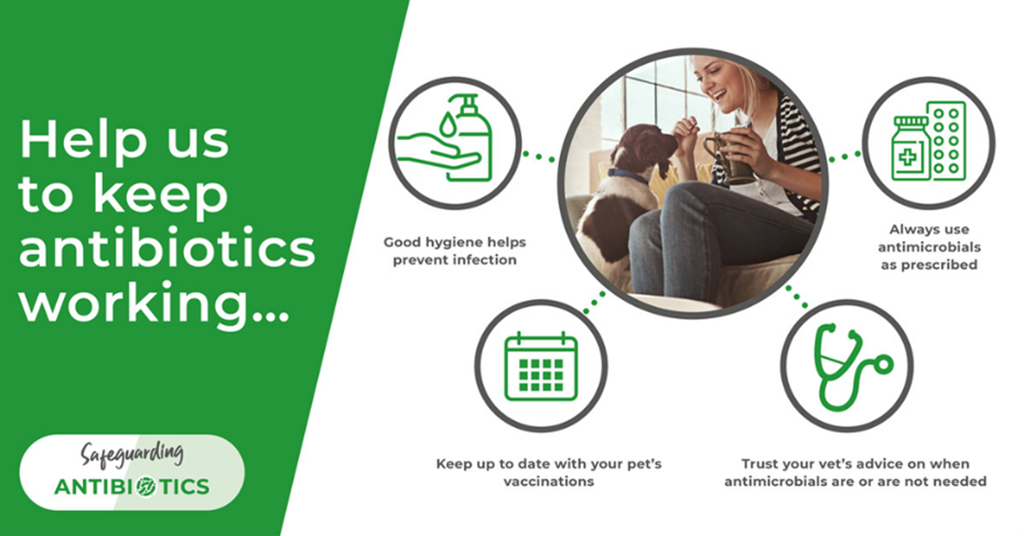 Safeguarding antibiotics poster